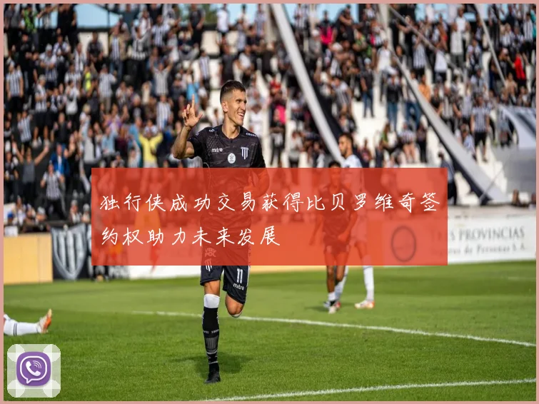 独行侠成功交易获得比贝罗维奇签约权助力未来发展